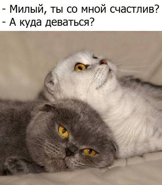 А куда деваться?