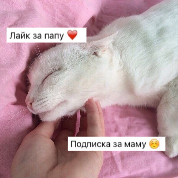 Подпишись на: 
 
 

 
 
 
 
 
 
 
 
 
 
 
 
 
 
 
 
 
 
 

 
 
 
 
 
 
 
 
 
 
 
 
 
 
 
 
 
 
 
 
 
 
 
 
 
 
 
 
 
 
