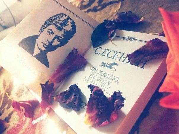 Ревность - ужасное чувство, но, испытывая его, мы понимаем, как сильно любим.

С.Есенин