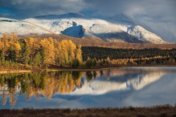 А Вы хотели бы  поехать в горы? Жмите на ❤